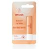 Lip Salve