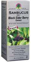 Sambucus (Black Elder)