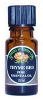 Thyme Wild