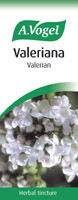 Valeriana Officinalis - Valerian