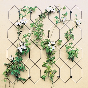 Lattice Trellis - Matt Black