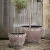 Pompeii planters - set of 3