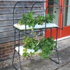 Strawberry Table Top - Matt Black