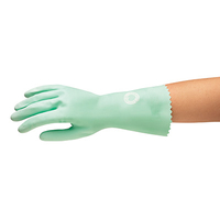 Rubber Gloves