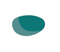 Bolle Chase Spare Interchangeable Lenses (Competivision Gun) (Bolle Chase Spare Interchangeable Lenses (Competivision Gun))