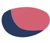 Bolle Vortex Spare Interchangeable Lenses (Rose Blue Trivex) (Rose Blue Trivex)