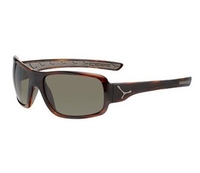 Cebe Changpa Sunglasses (1500 Grey AR Lens Shiny Tortoise Frame) (1500 Grey AR Lens Shiny Tortoise Frame)