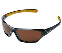 Cebe Doberman Sunglasses (2000 Brown AR Lens Shiny Black/Matt Gold Frame) (2000 Brown AR Lens Shiny Black/Matt Gold Frame)