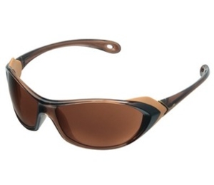 (?)Cebe Kite Large Sunglasses (Deep Dark Brown with 2000 Brown AR) (brown)