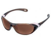 Cebe Kite Small Sunglasses (2000 Brown AR Lens Shiny Dark Brown Frame) (2000 Brown AR Lens Shiny Dark Brown Frame)