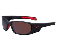 Cebe Scape Small Sunglasses (2000 Brown AR Lens Matt Black Red Frame) (2000 Brown AR Lens Matt Black Red Frame)