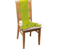 Go Travel Chair Harness for 6+ Months Kids (Size 490x1153x38mm) (Size 490x1153x38mm)