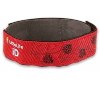 Littlelife Safety iD Strap (Ladybird) (Ladybird)