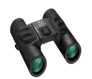 Luger LR 10x26 Compact Binoculars