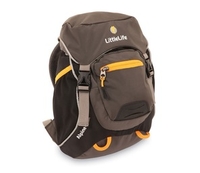 (NF)**OFFER** Littlelife Alpine 4 Kids Daysack Black (black)