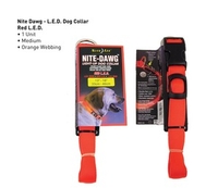 Nite Ize Nite Dawg LED Dog Collar Orange (33cm-46cm) (medium)