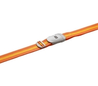 **OFFER** Go Travel Strap 
