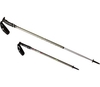 ~OFFER~ MSR Talus TR2 Trekking Pole (Standard) (Standard)