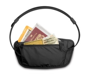 Pacsafe Coversafe 100 Secret Travel Waist Wallet (Black) (Black)