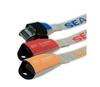 Sea to Summit Tie Down With Neoprene Cover 3.5m (Orange) (orange)