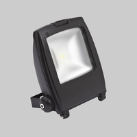 10W Biard Slimline Black LED Floodlight in Cool White or Warm White