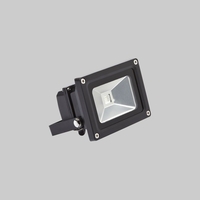 10W RGB Colour Changing Remote Controlled LED Floodlight