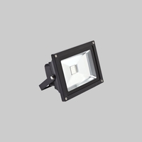 20W RGB Colour Changing Remote Controlled LED Floodlight