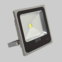 50W Biard Slimline Silvery Grey LED Floodlight in Cool White & Warm White