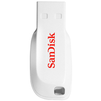 SanDisk 16GB Cruzer Blade USB Flash Drive