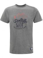 Mens Cosmos Downhill T-Shirt Grey