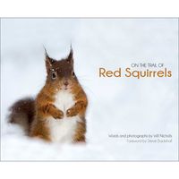 On the trail of red squirrels