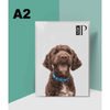 A2 Size Gloss Laminated Prints