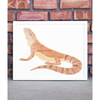 Bearded Dragon - Personalised Word Art Print