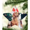 Ceramic Star - Photo Christmas Decorations