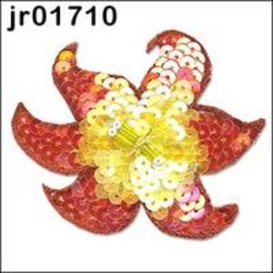 Copper sequin orchid