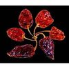 Pack of Dried Whole Purple Habanero Chillies