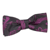 Boy's Passion Black &
Purple Bow Tie