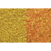 Early Fall Mix Foliage