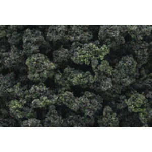 Forest Blend Bushes