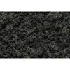 Forest Green Underbrush