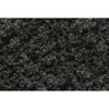 Forest Green Underbrush
