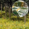 Forest Soil & Meadow Starter Kit
