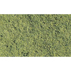 Green Blend Fine Turf