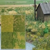 Ground Cover Material 4 types
