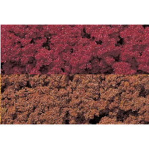 Late Fall Mix Foliage