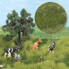 Late Spring/early Summer Grass Fibre mat 297x210mm