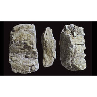 Rock Mold Random Rock