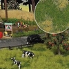 Spring Meadow Fibre mat 297x210mm