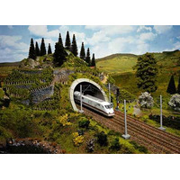 Tunnel Entrance Double Track Ice
