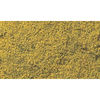 Yellow Flowering Foliage